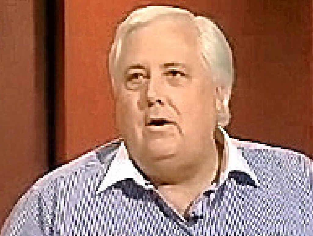 ABC SCREEN GRAB: Mr Palmer. ABC SCREEN GRAB: Mr Palmer.